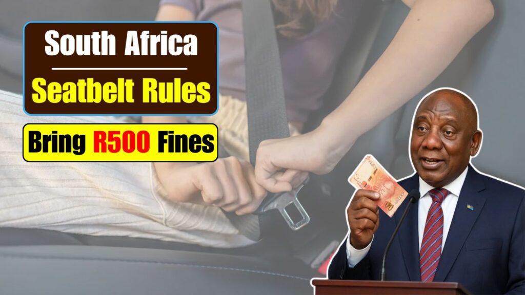 New Seatbelt Law Takes