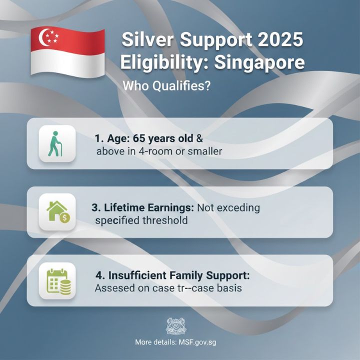 New Silver Support 2025